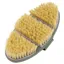 LeMieux Flexi Scrubbing Brush - Lilac