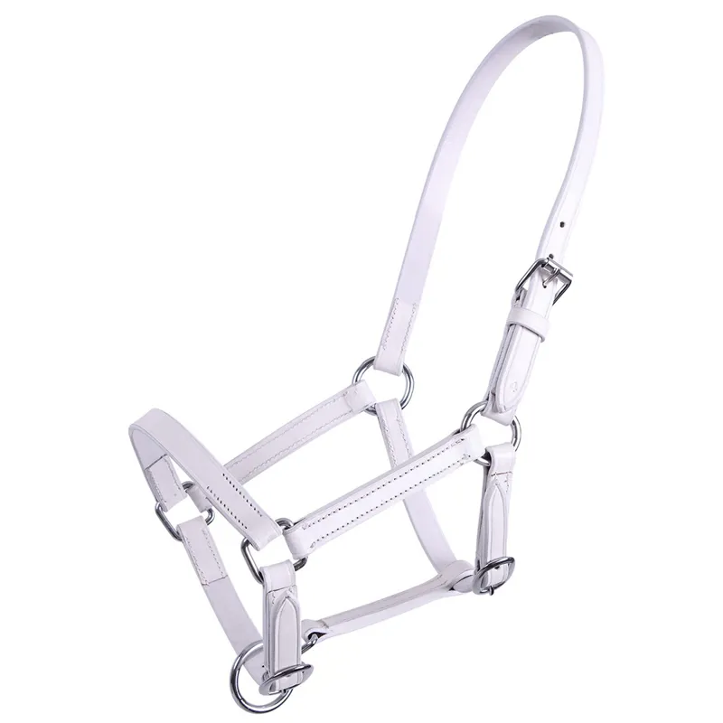 QHP Chico Leather Foal Headcollar - White