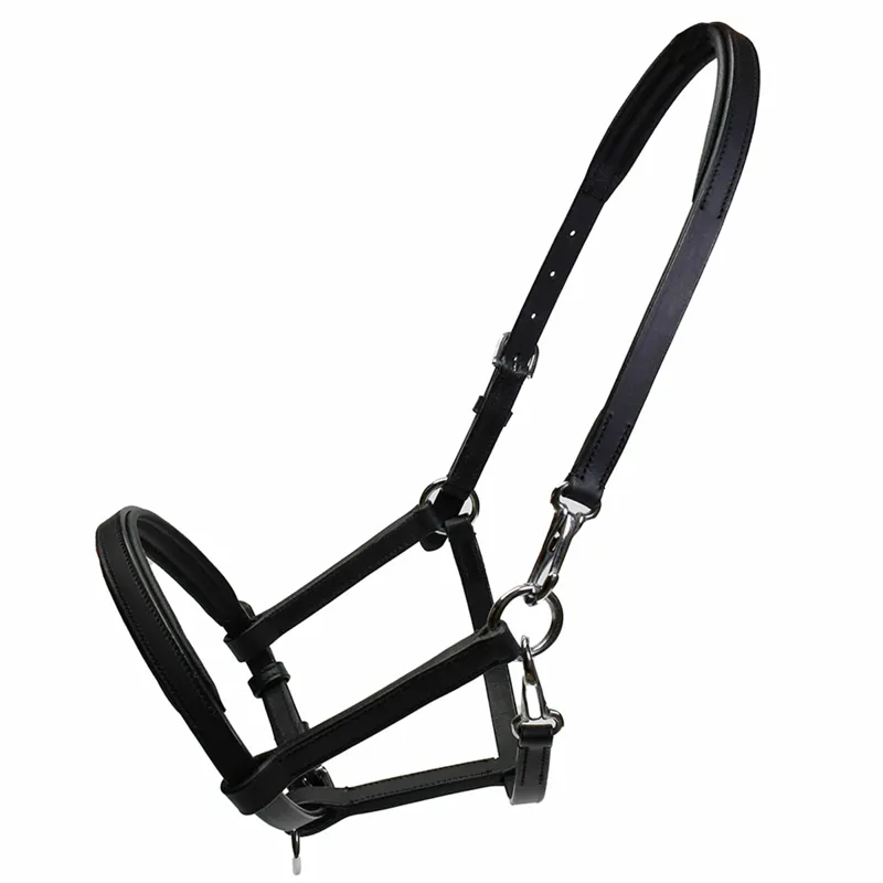 Rhinegold Yearling/Foal Leather Slip Halter - Black