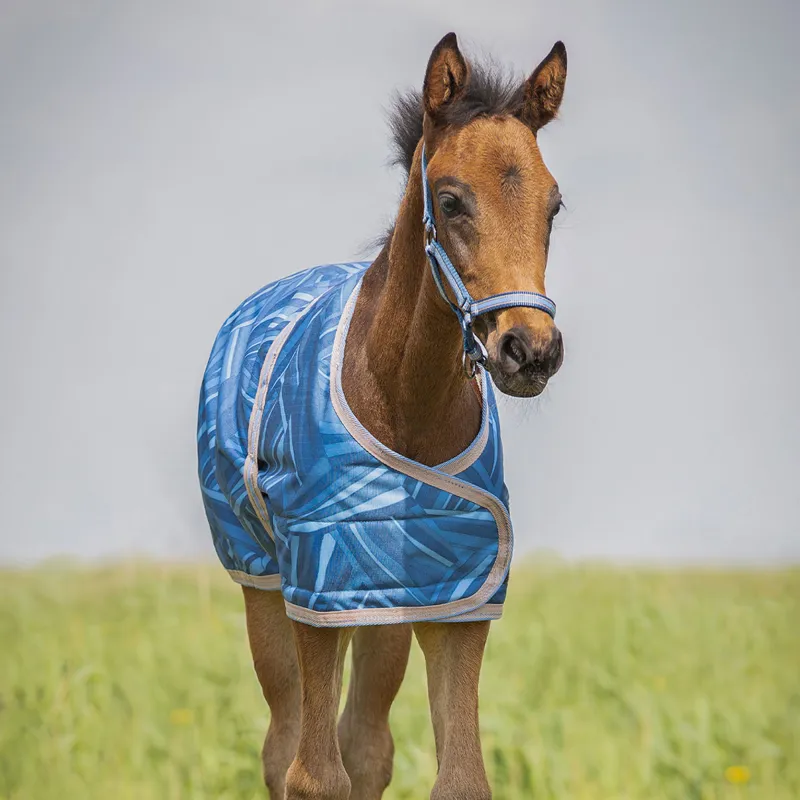 QHP Foal Turnout Rug - Seashell-1