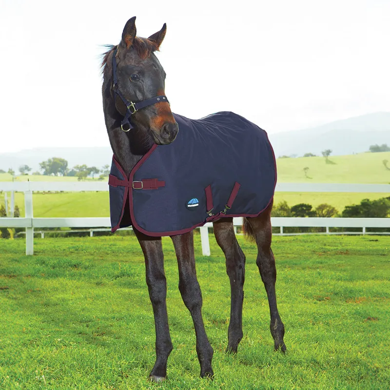 WeatherBeeta 1200D Standard Neck Foal Turnout Rug - Navy/Burgundy