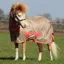 Bucas Freedom Pony Combo Neck Fly Rug - Hazelnut