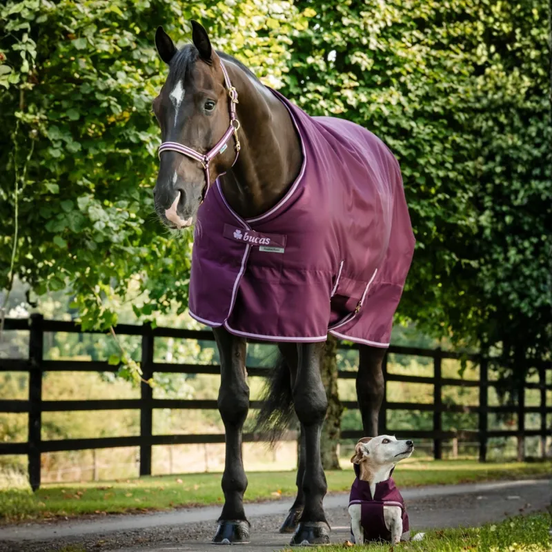 Bucas Freedom 150g Stable Rug - Blackberry-1