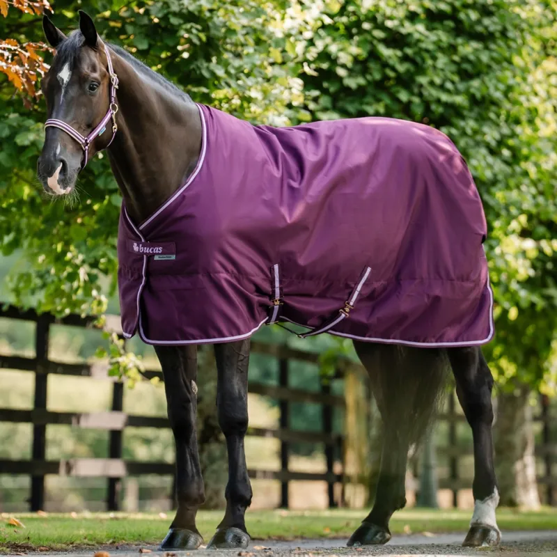 Bucas Freedom 150g Stable Rug - Blackberry