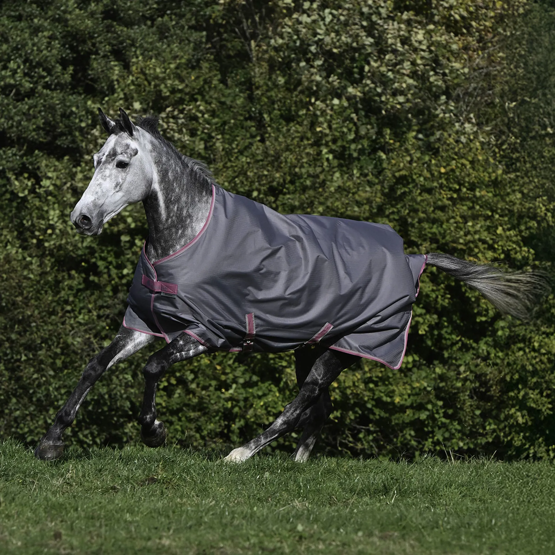 Bucas Freedom 300g Standard Neck Turnout Rug - Smoke Grey