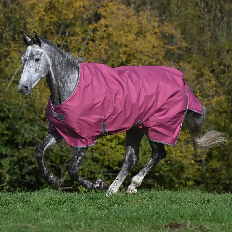 Bucas Freedom 150g Standard Neck Turnout Rug - Raspberry