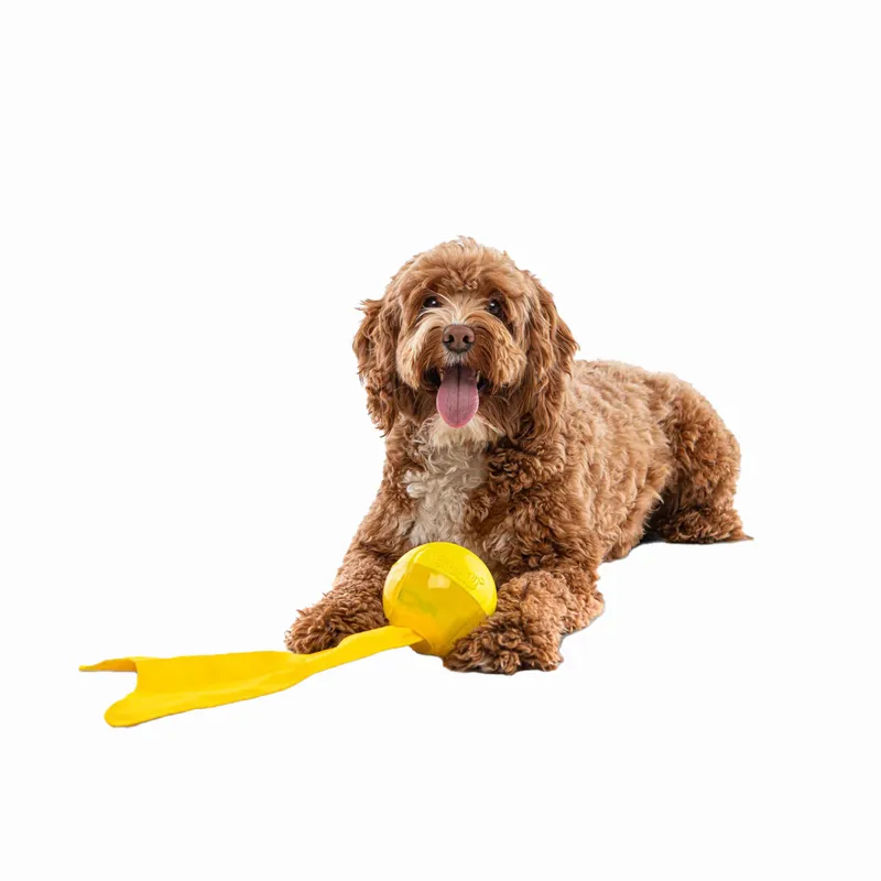 Guru Bonanza Ball Dog Toy-4