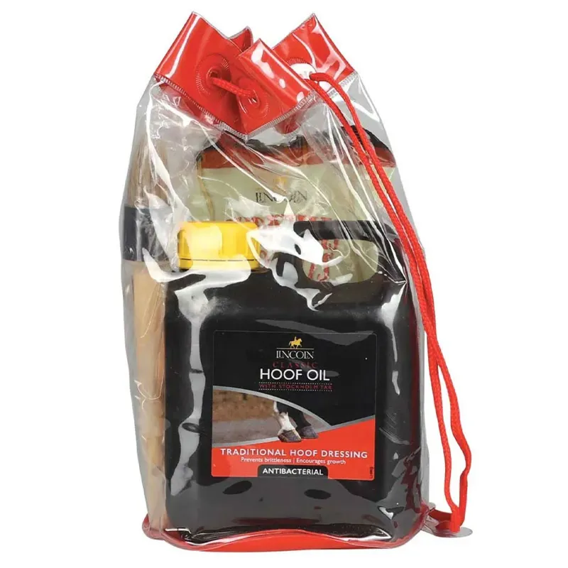 Lincoln Christmas Gift Bag