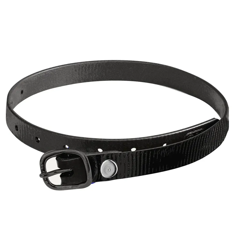 Sprenger Glossy Biothane Spur Straps - Black/Black