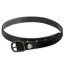 Sprenger Glossy Biothane Spur Straps - Black/Black