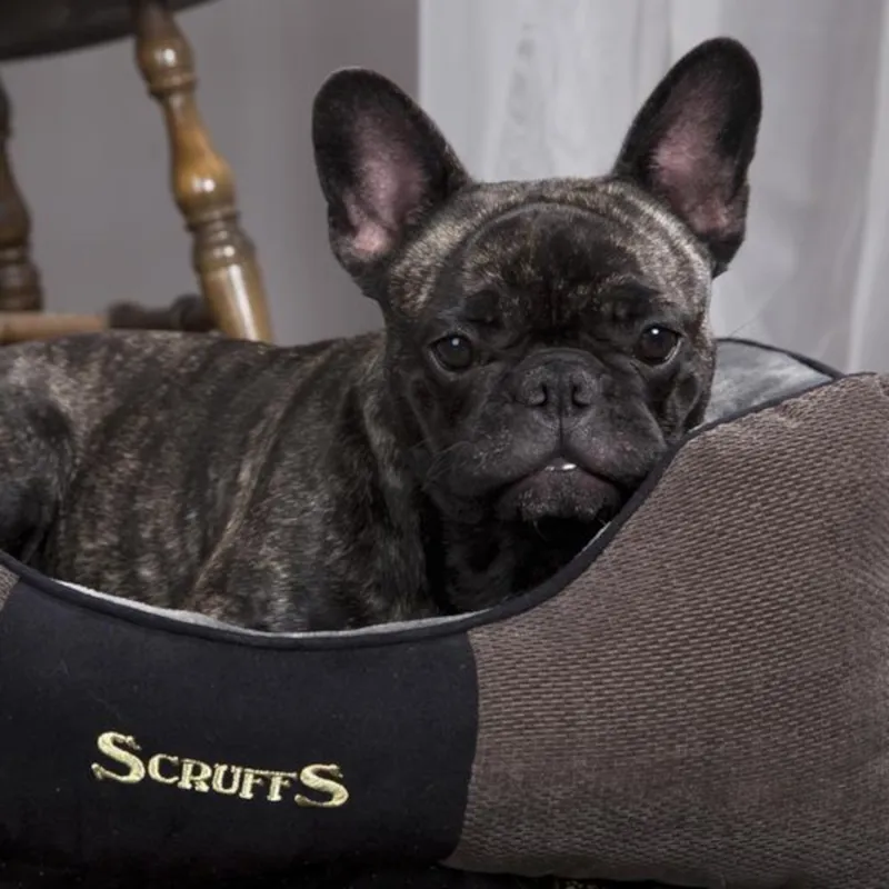 Scruffs Chester Dog Bed - Graphite -1