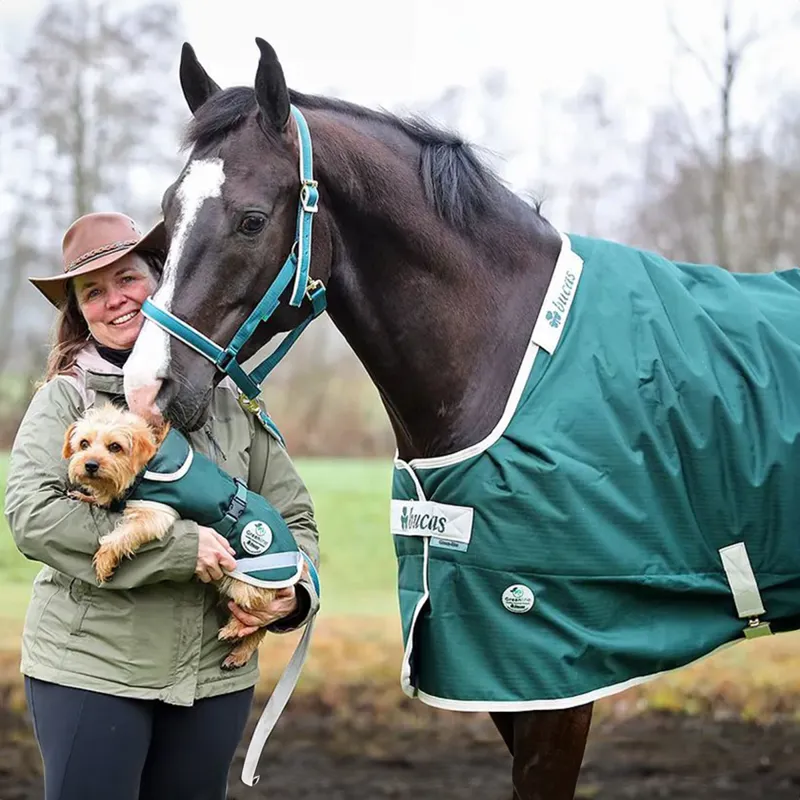 Bucas Greenline 300g Standard Neck Turnout Rug - Green/Cream-1