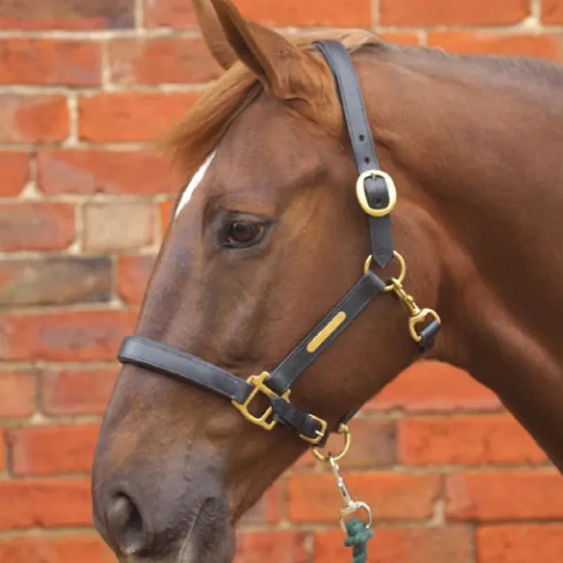 Hy Leather Head Collar - Brown-1
