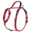 Halti Walking Dog Harness - Red