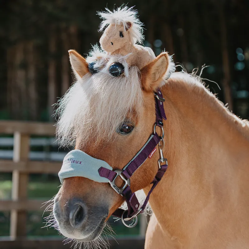 LeMieux Harlow Tiny Beanie Pony - Cloudy-1