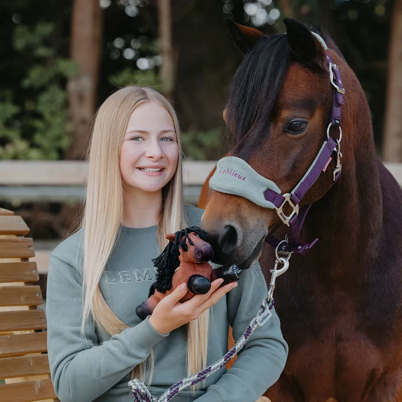 LeMieux Harlow Tiny Beanie Pony - Rolo-5