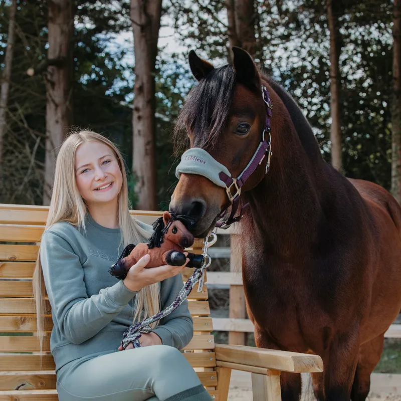 LeMieux Harlow Tiny Beanie Pony - Rolo-1