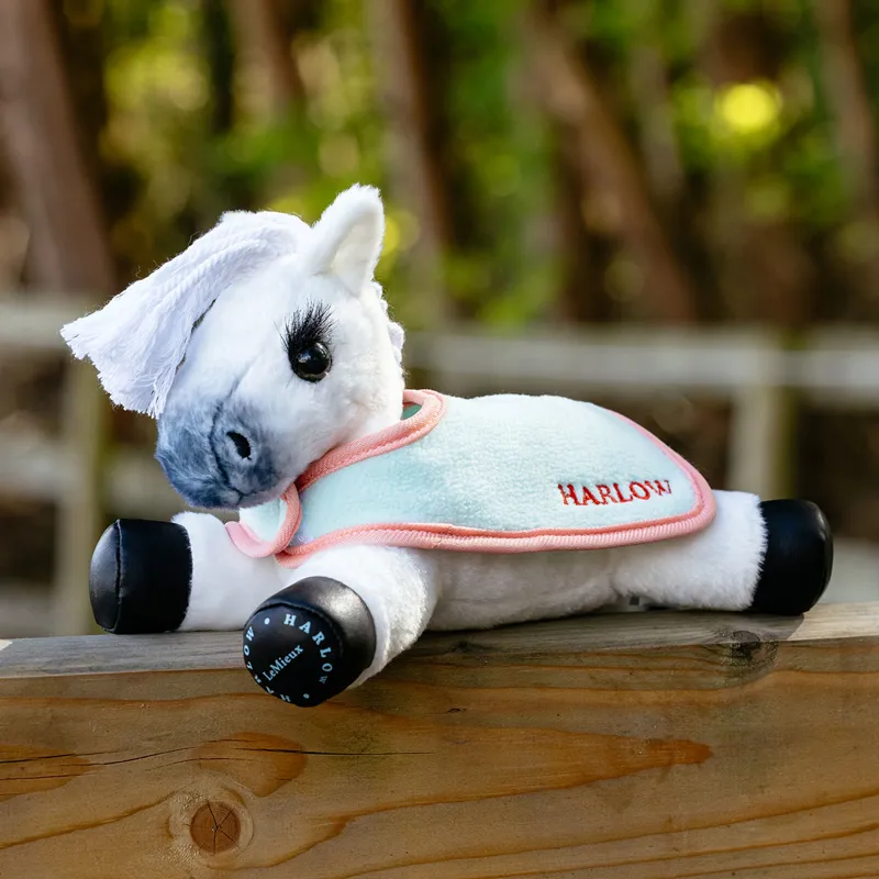 LeMieux Harlow Tiny Beanie Pony Rugs 2 Pack - Softmint/Coral Crush-3