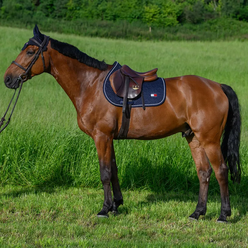 Tommy Hilfiger Harvard Jump Saddlecloth - Desert Sky-4