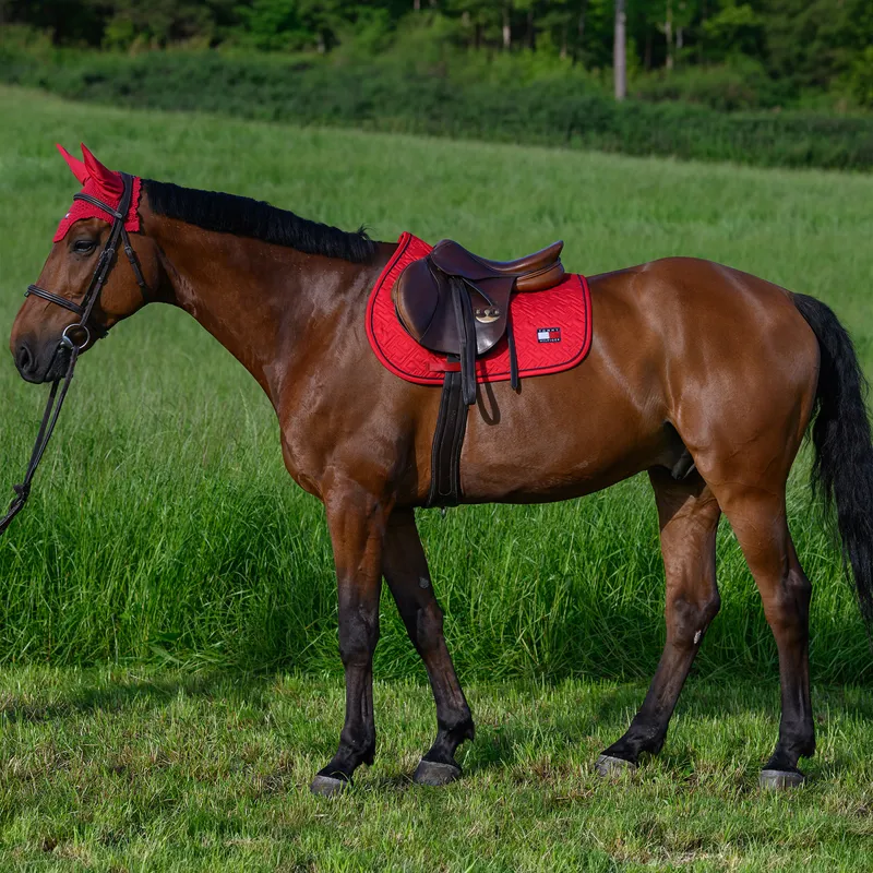 Tommy Hilfiger Harvard Jump Saddlecloth - Primary Red-3