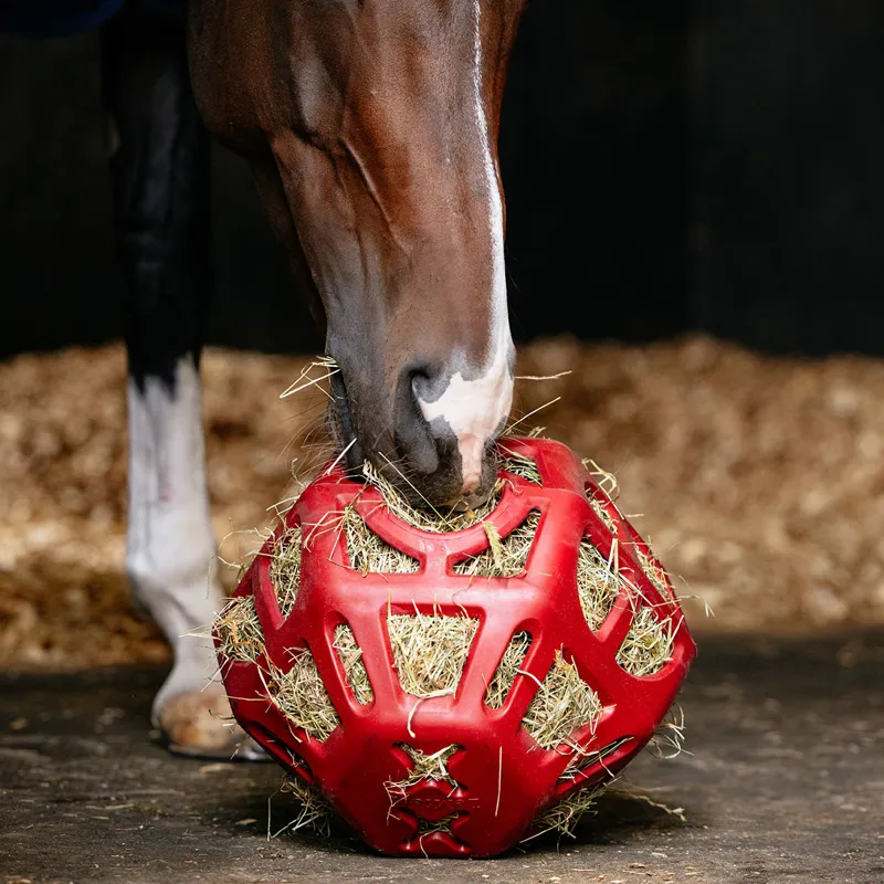 LeMieux Hay Ball - Chilli-3