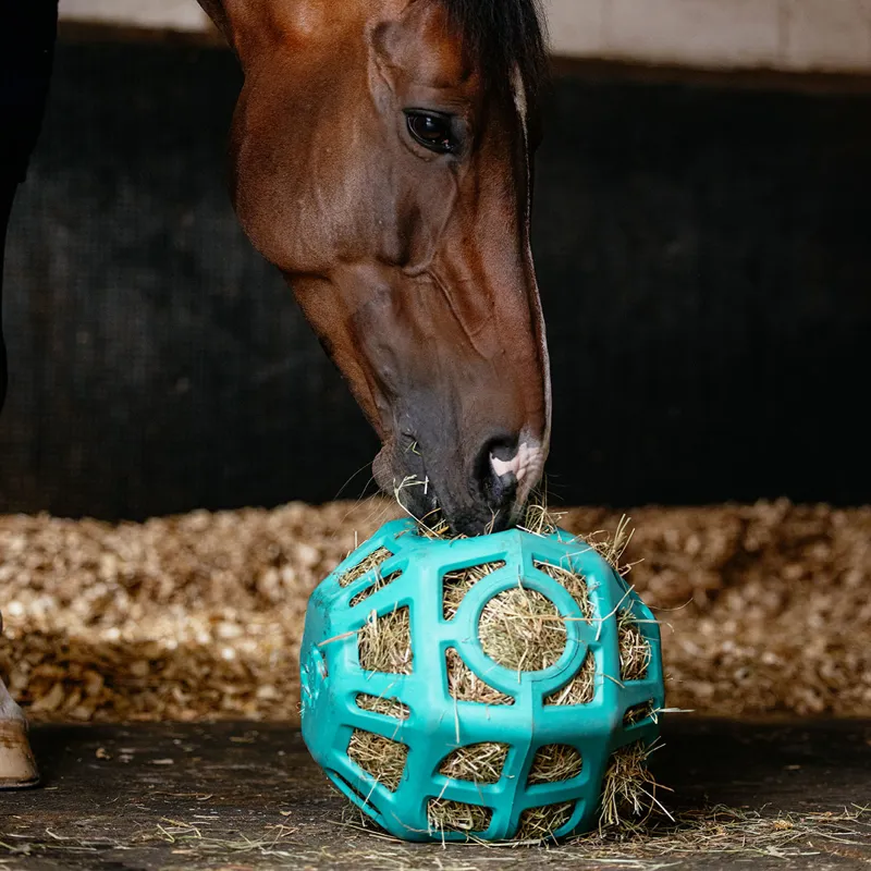 LeMieux Hay Ball - Lagoon-4