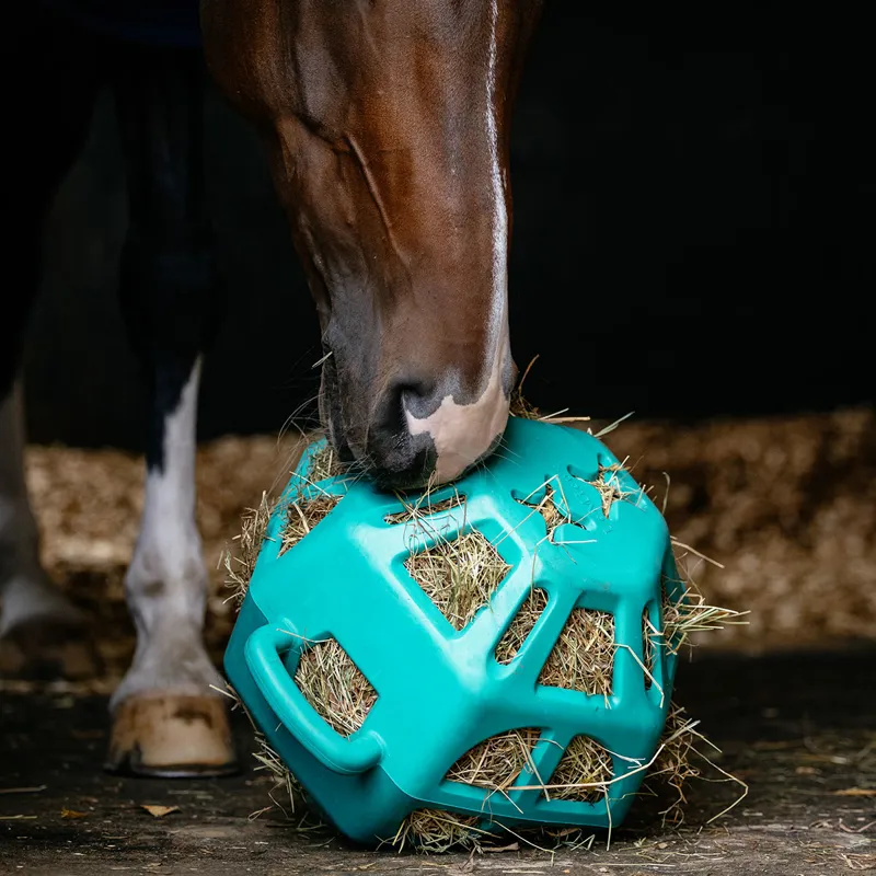 LeMieux Hay Ball - Lagoon-1