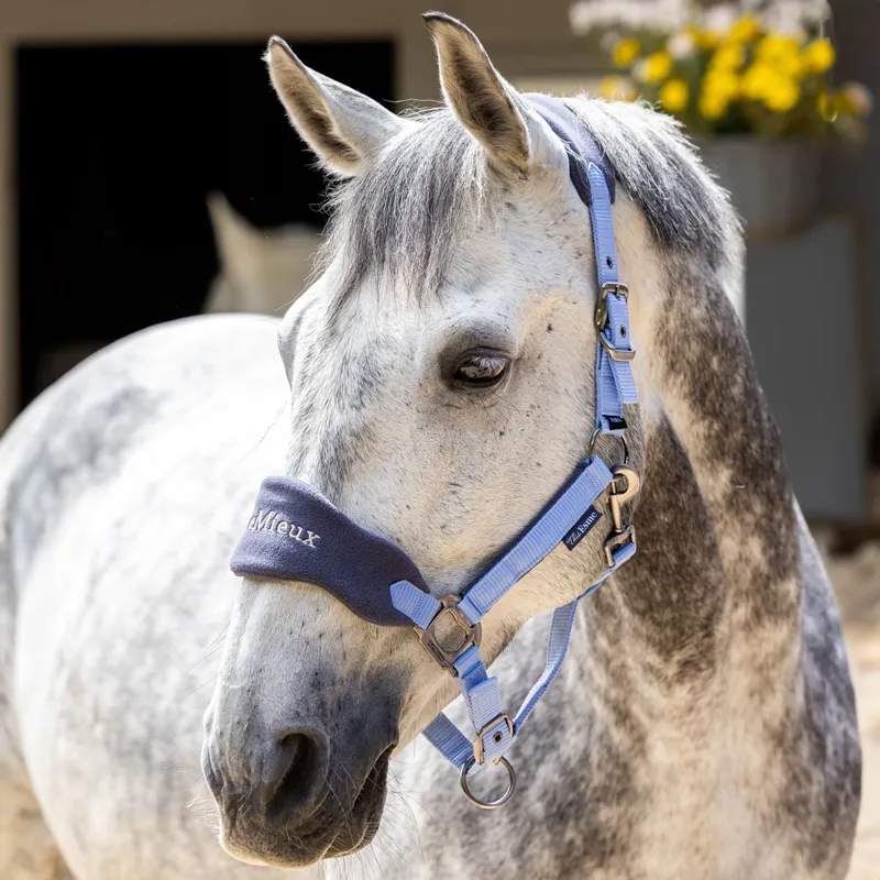 LeMieux x This Esme Vogue Headcollar - Corn Blue-2