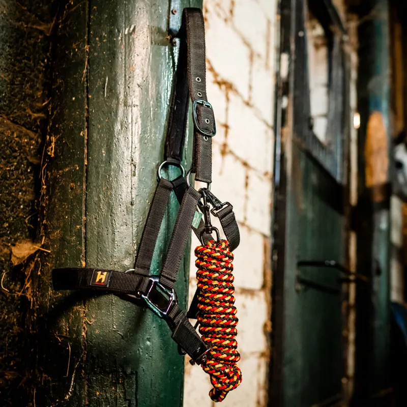 Horseware Newmarket Headcollar and Lead Rope - Witney Gold-4