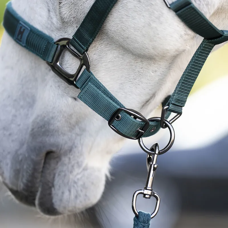 Horseware Headcollar and Leadrope Set - Dynasty Green-4