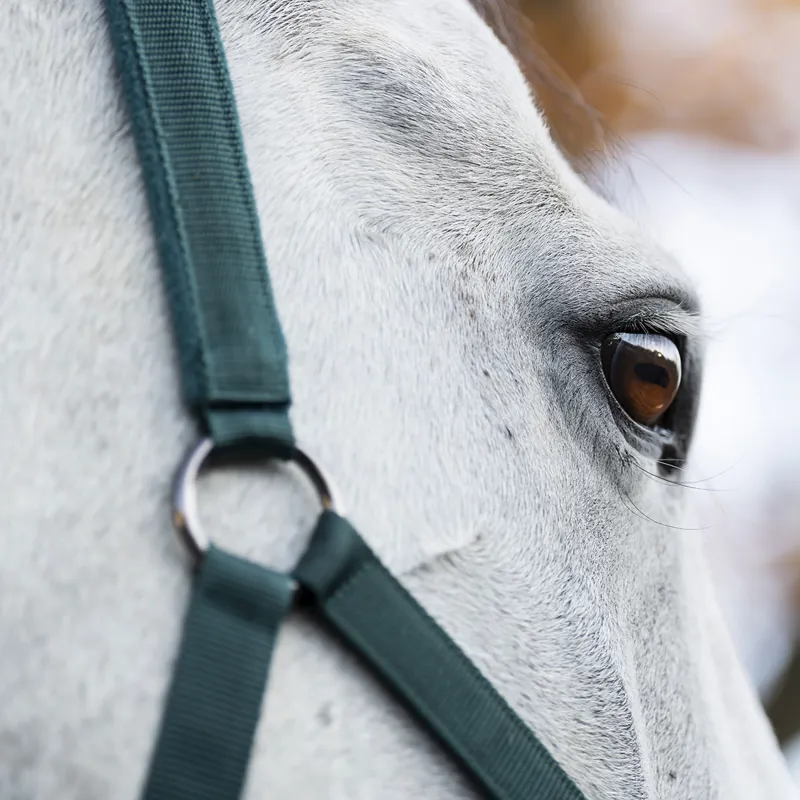 Horseware Headcollar and Leadrope Set - Dynasty Green-2