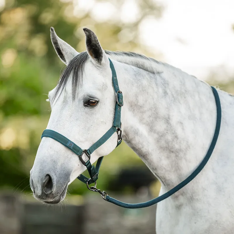 Horseware Headcollar and Leadrope Set - Dynasty Green