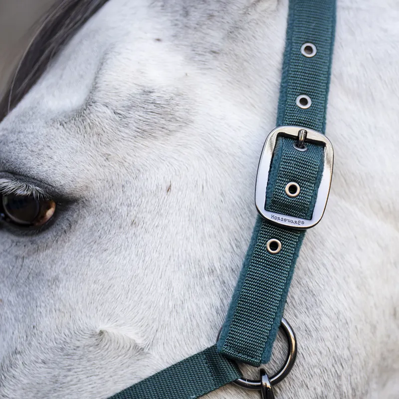 Horseware Headcollar and Leadrope Set - Dynasty Green-1