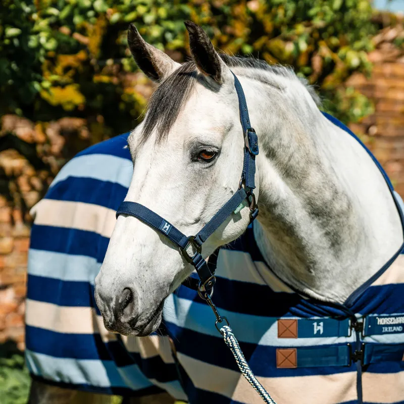 Horseware Newmarket Headcollar and Lead Rope - Witney Navy-5