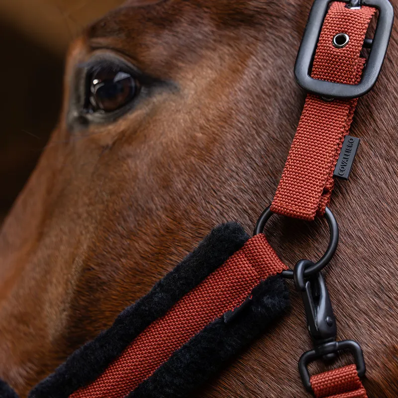 Covalliero Headcollar - Rust-7
