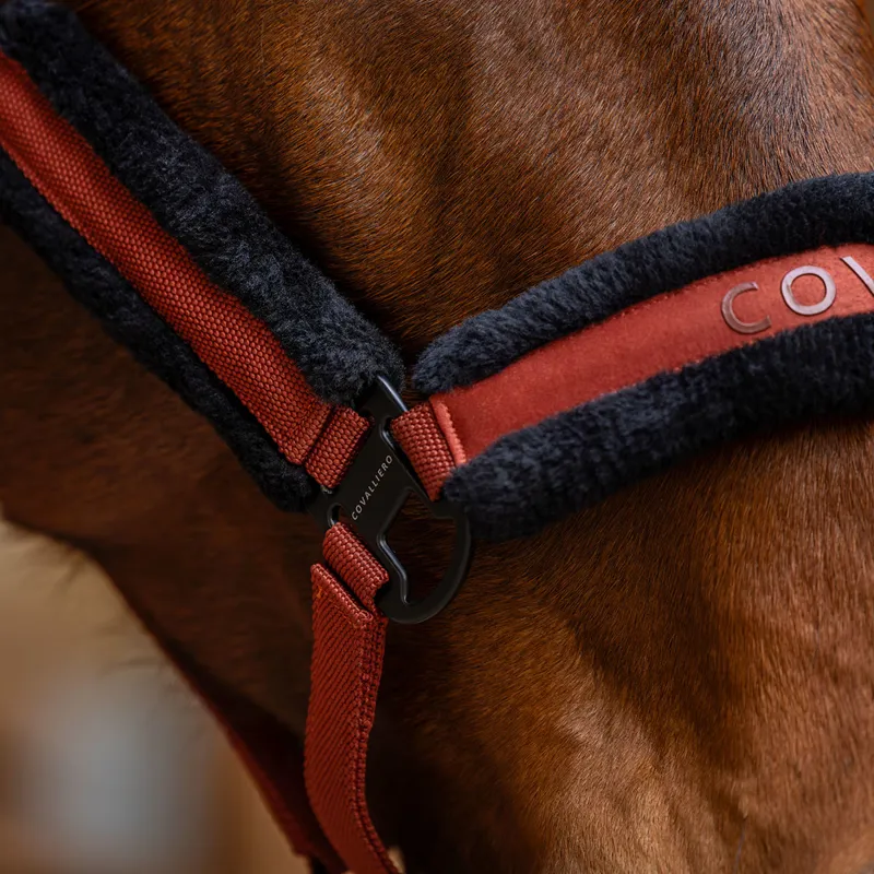 Covalliero Headcollar - Rust-8