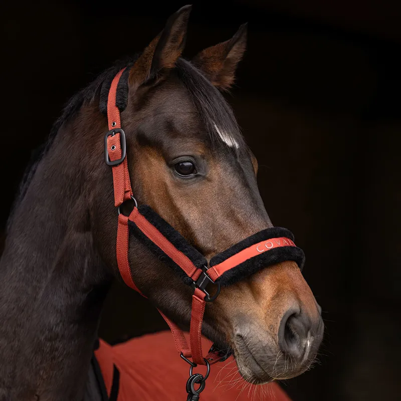 Covalliero Headcollar - Rust-6