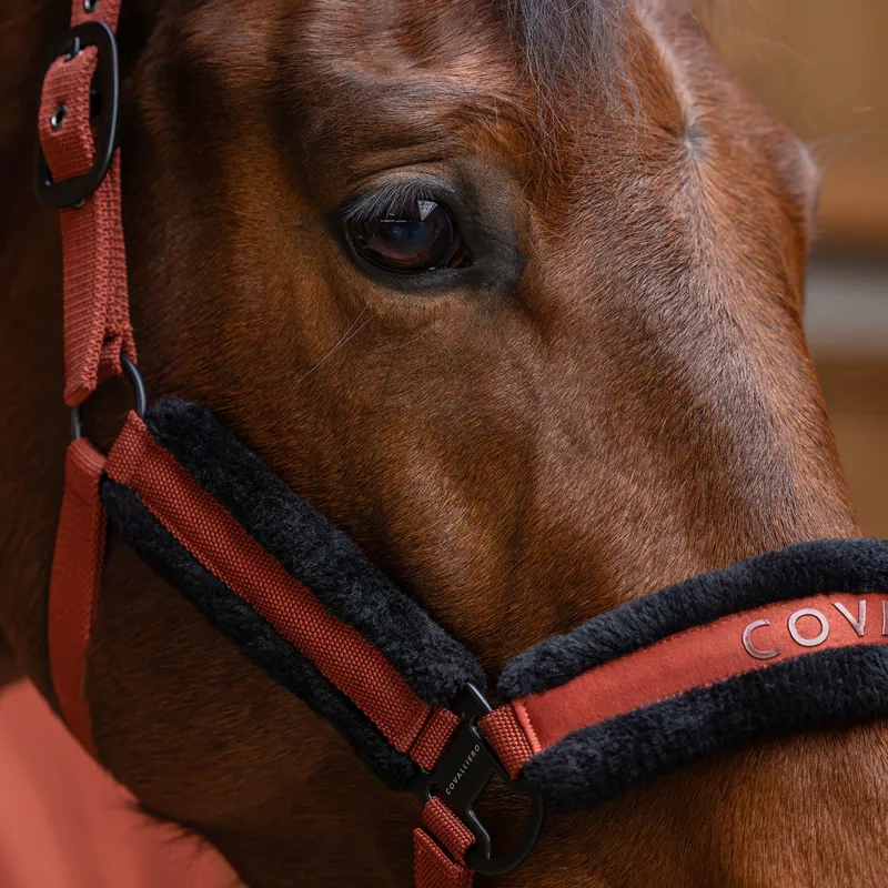 Covalliero Headcollar - Rust-5