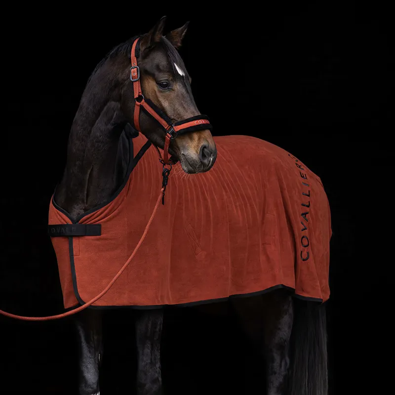 Covalliero Headcollar - Rust-3