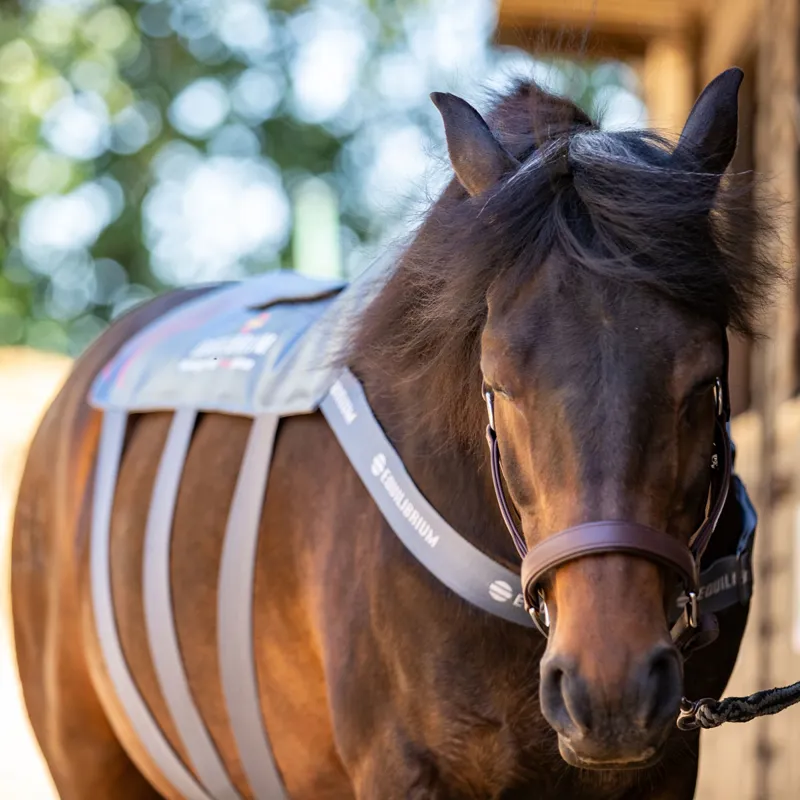 Equilibrium Heatsense Massage Back Pad - Small-1