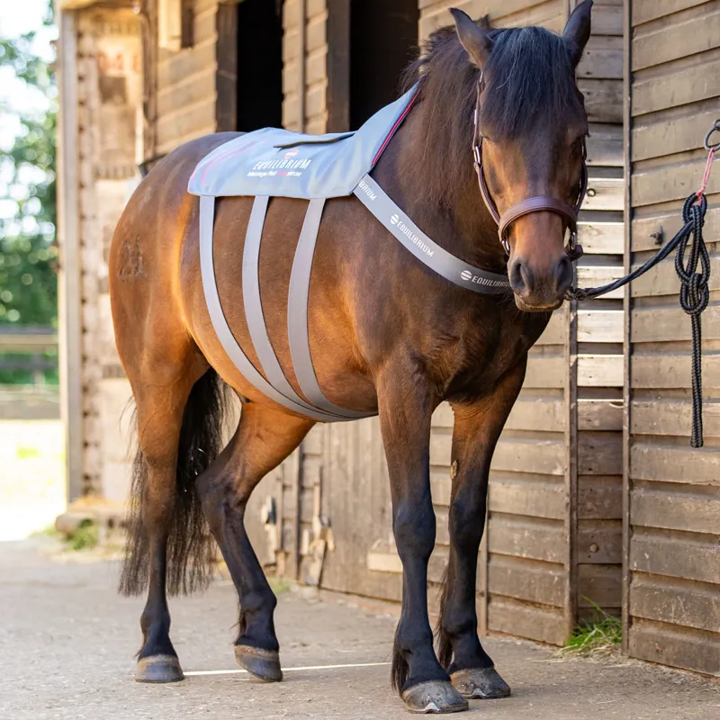 Equilibrium Heatsense Massage Back Pad - Small-7