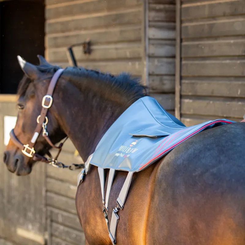 Equilibrium Heatsense Massage Back Pad - Small-8