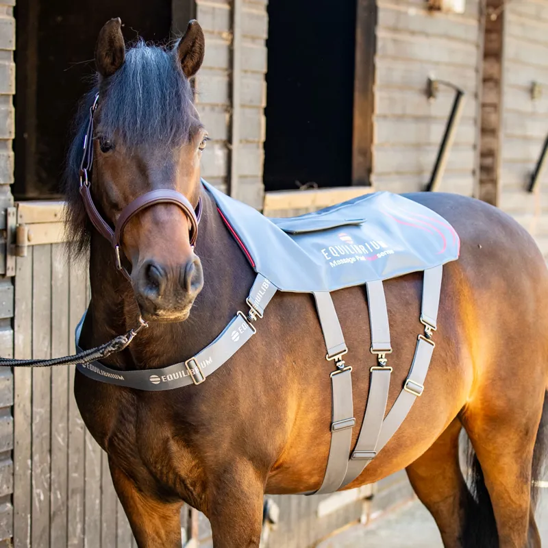 Equilibrium Heatsense Massage Back Pad - Small