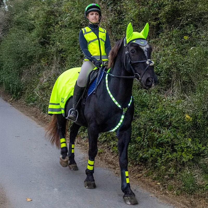 Woof Wear LED Neck Band - Yellow-4