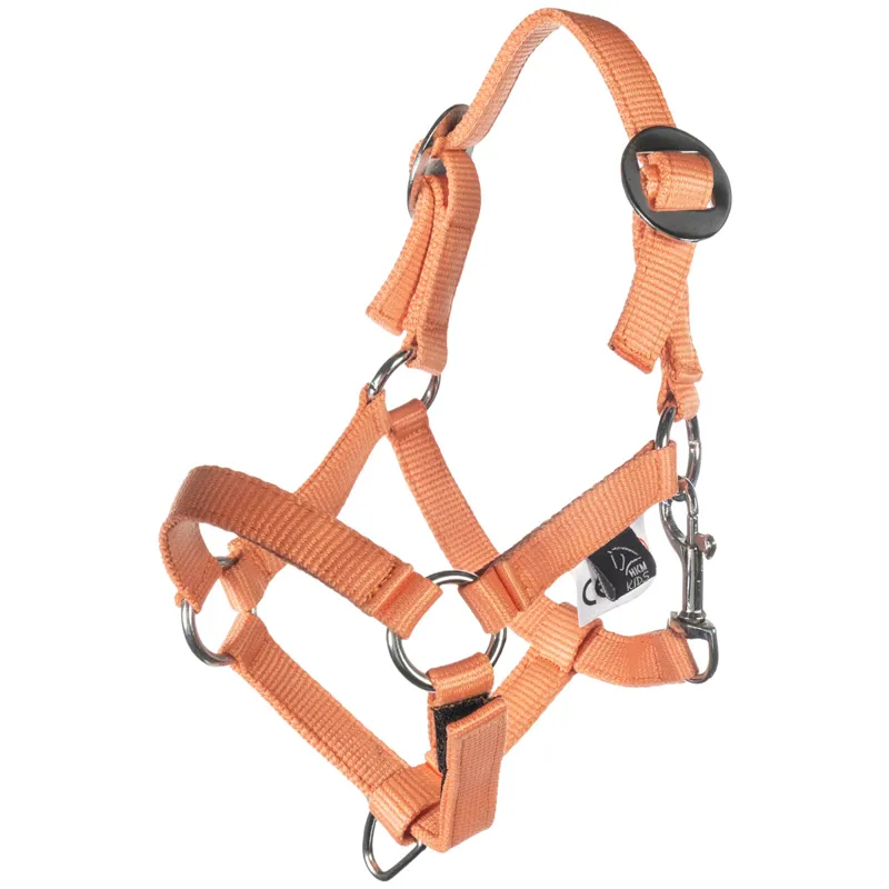 HKM Hobby Horse Basic Headcollar and Lead Rope - Orange-1