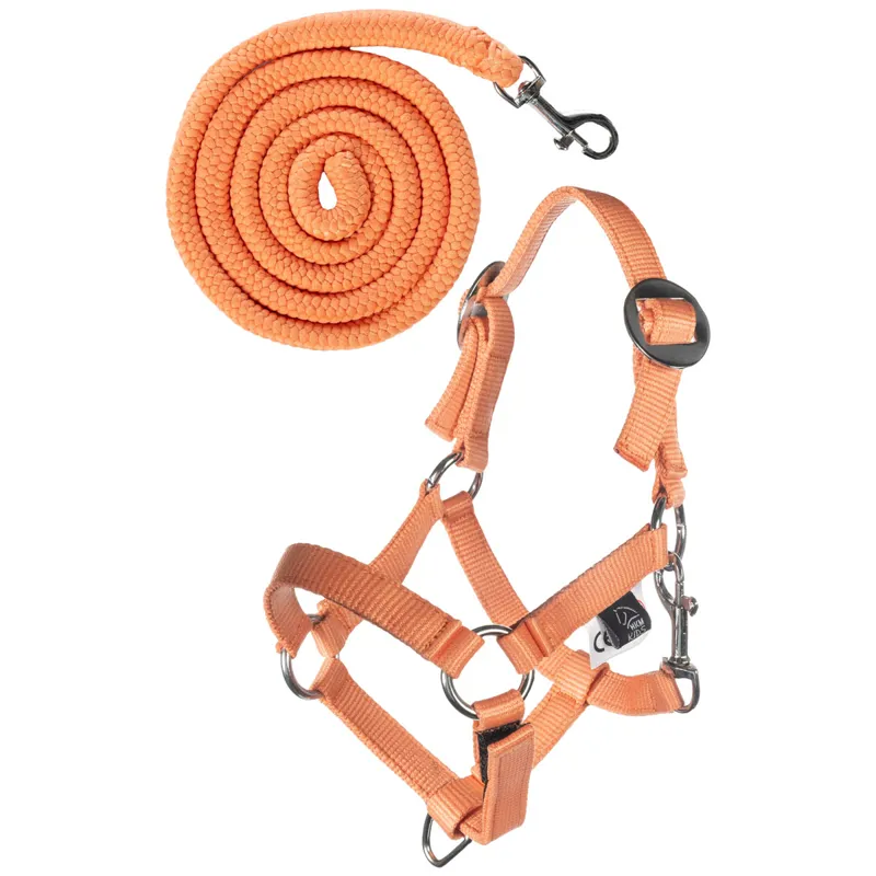 HKM Hobby Horse Basic Headcollar and Lead Rope - Orange