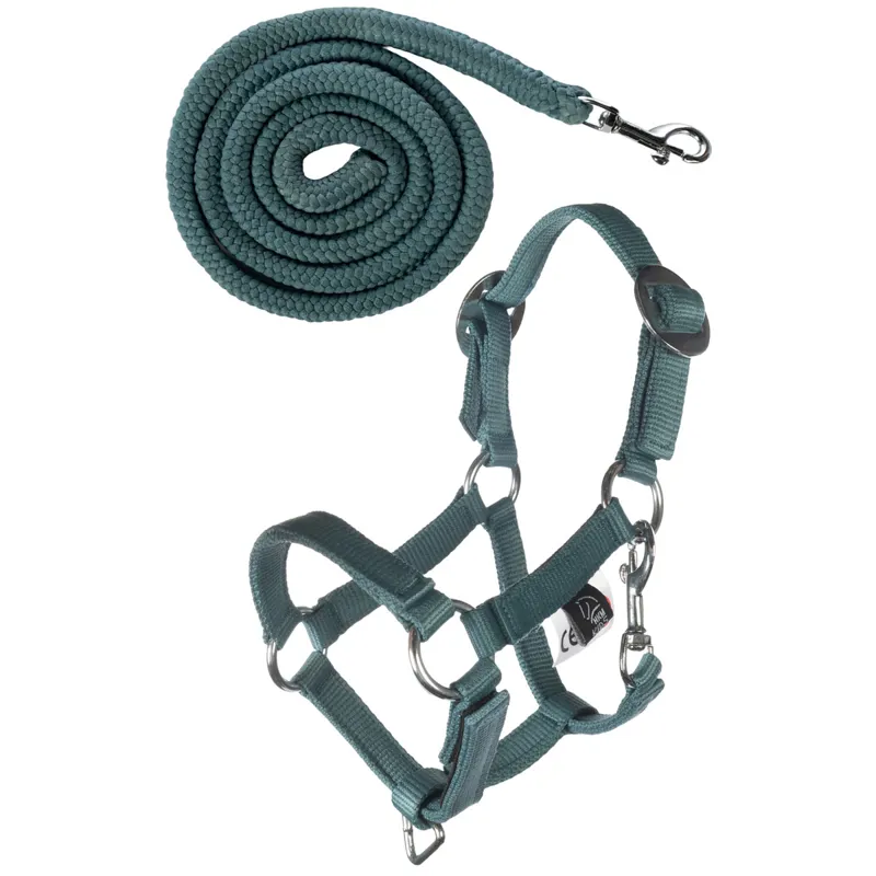 HKM Hobby Horse Basic Headcollar and Leadrope - Turqouise