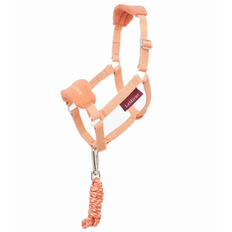 LeMieux Hobby Horse Vogue Headcollar - Apricot