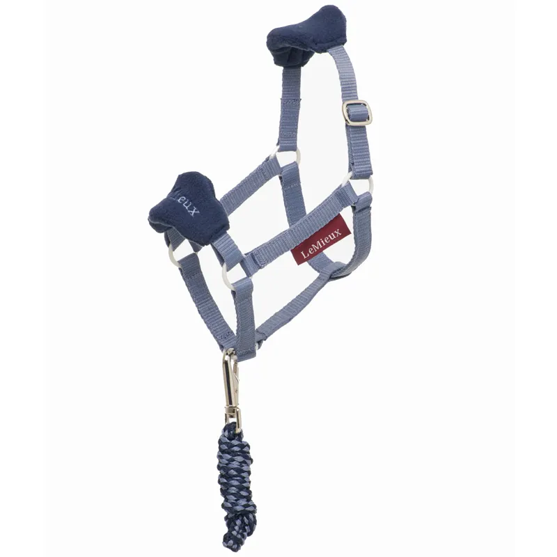 LeMieux Hobby Horse Vogue Headcollar - Jay Blue