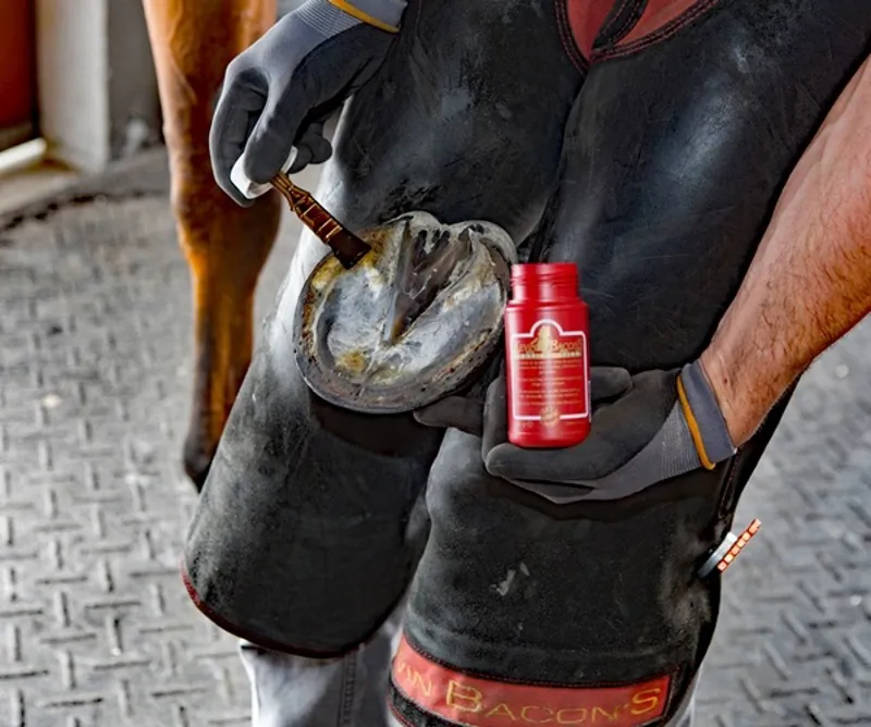 Kevin Bacon Hoof Solution-3